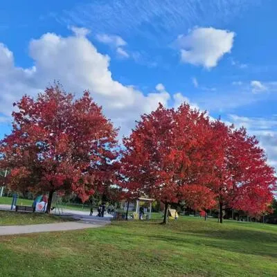 103,&nbsp;Glentworth, Don Valley Village, Toronto