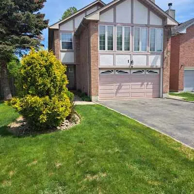 1,&nbsp;Greybeaver, Rouge E10, Toronto