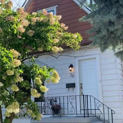 75,&nbsp;Eileen, Rockcliffe-Smythe, Toronto
