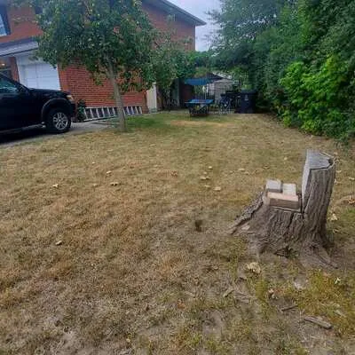 114,&nbsp;ARDWICK, Humbermede, Toronto