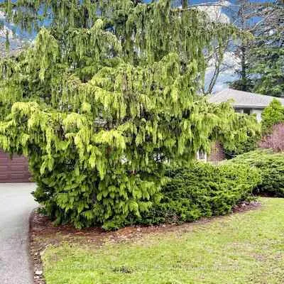 2,&nbsp;Colvestone, St. Andrew-Windfields, Toronto