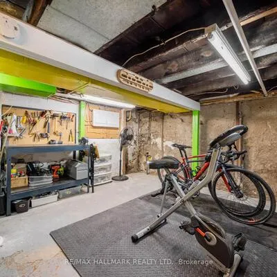 27, Winston, Birchcliffe-Cliffside, Toronto