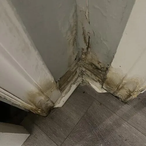 Premium freehold home for sale: 67, Claremore, Birchcliffe-Cliffside, Toronto