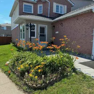131,&nbsp;Plumrose, Malvern, Toronto