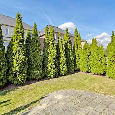 36,&nbsp;Canelli Heights, Patterson, Vaughan